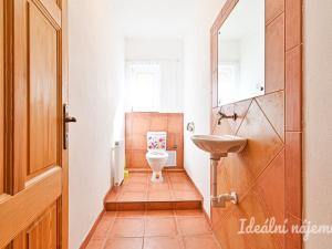 Pronájem rodinného domu, Kunovice, Na Bělince, 280 m2