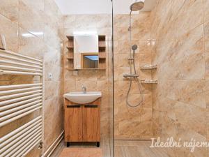 Pronájem rodinného domu, Kunovice, Na Bělince, 280 m2