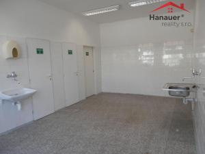 Pronájem ordinace, Ústí nad Labem - Ústí nad Labem-centrum, U Vlečky, 44 m2