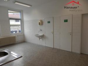 Pronájem ordinace, Ústí nad Labem - Ústí nad Labem-centrum, U Vlečky, 44 m2