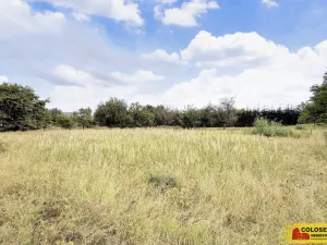 Prodej pozemku pro bydlení, Sebranice, 2000 m2