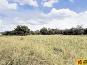 Prodej pozemku pro bydlení, Sebranice, 2000 m2