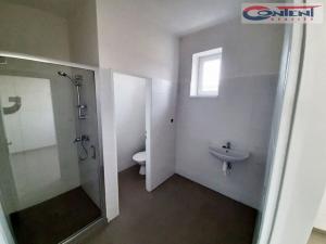 Pronájem výrobních prostor, Kladno - Dubí, Dubská, 2110 m2