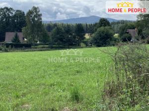 Prodej louky, Nová Pec - Nové Chalupy, 5428 m2