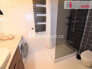 Pronájem bytu 1+kk, Praha - Michle, Hadovitá, 47 m2