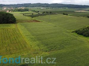 Prodej pole, Malovice - Krtely, 4926 m2