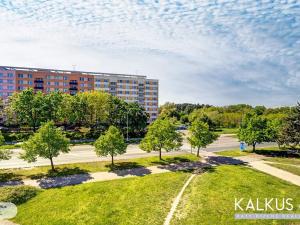 Prodej bytu 1+kk, Hradec Králové, Palachova, 41 m2
