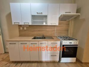 Pronájem bytu 1+1, Havířov - Město, Hlavní třída, 48 m2
