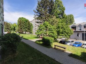 Pronájem bytu 1+kk, Kadaň, Golovinova, 20 m2
