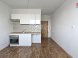 Pronájem bytu 1+kk, Kadaň, Golovinova, 20 m2
