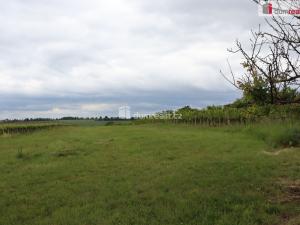 Prodej zahrady, Valtice, Lipová, 4880 m2