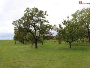 Prodej zahrady, Valtice, Lipová, 4880 m2