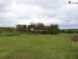 Prodej zahrady, Valtice, Lipová, 4880 m2