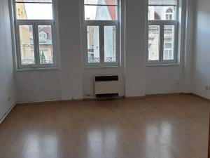 Pronájem bytu 1+1, Novosedlice, Malodrážní, 50 m2