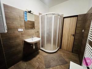 Pronájem bytu 2+1, Olomouc, Riegrova, 100 m2