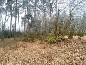 Prodej pole, Slatina, 21641 m2