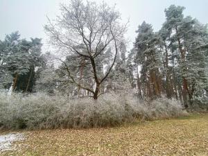 Prodej pole, Slatina, 21641 m2