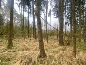 Prodej pole, Slatina, 21641 m2