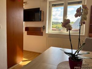 Prodej bytu 3+kk, Březová nad Svitavou, Okružní, 80 m2
