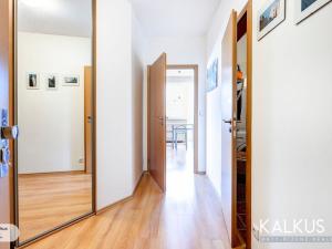 Prodej bytu 1+kk, Hradec Králové - Nový Hradec Králové, Palachova, 41 m2
