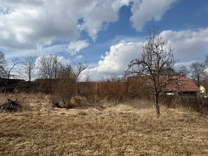 Prodej rodinného domu, Mišovice, 910 m2