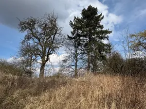 Prodej zemědělské usedlosti, Mišovice, 910 m2