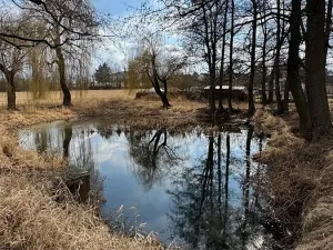Prodej zemědělské usedlosti, Mišovice, 910 m2