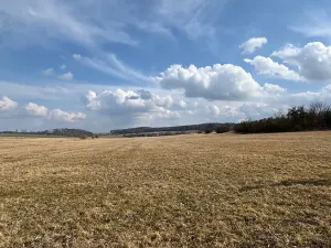 Prodej zemědělské usedlosti, Mišovice, 910 m2