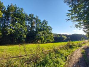 Prodej chaty, Dolní Hbity - Horní Líšnice, 58 m2