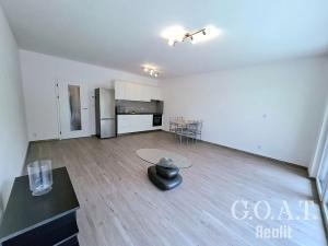 Pronájem bytu 2+kk, Dobřany, Loudů, 55 m2