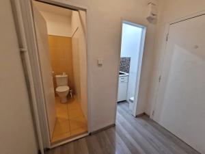 Prodej bytu 1+kk, Brno, Cihlářská, 32 m2