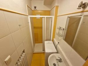 Prodej bytu 1+kk, Brno, Cihlářská, 32 m2