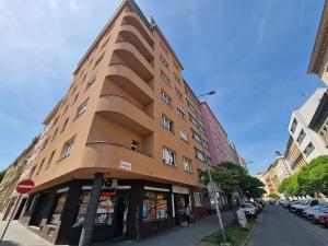 Prodej bytu 1+kk, Brno, Cihlářská, 32 m2
