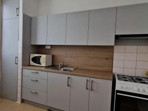 Pronájem bytu 2+1, Ostrava - Dubina, Františka Formana, 46 m2