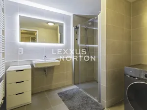 Pronájem bytu 2+kk, Praha - Smíchov, Holečkova, 80 m2