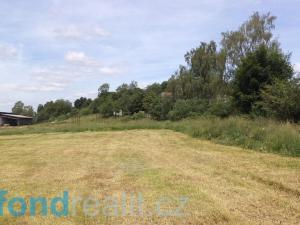 Prodej pole, Skořice, 9608 m2