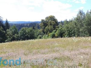 Prodej pole, Přídolí - Všeměry, 13471 m2