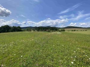 Prodej pole, Lhenice - Hrbov, 55481 m2