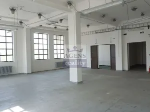 Pronájem skladu, Praha, Radiová, 223 m2