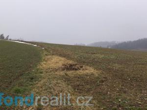 Prodej pole, Zvěstov, 51077 m2