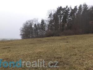 Prodej pole, Zvěstov, 51077 m2