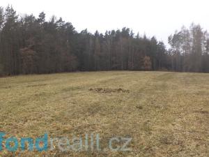 Prodej pole, Zvěstov, 51077 m2