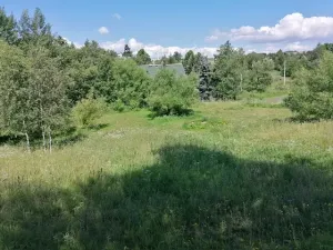 Prodej louky, Hora Svatého Šebestiána, 59674 m2