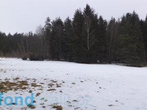 Prodej pozemku, Nová Bystřice - Blato, 19660 m2