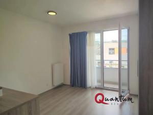 Pronájem bytu 1+kk, Praha - Vršovice, Novgorodská, 30 m2