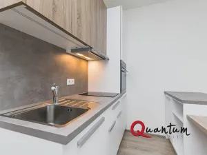 Pronájem bytu 1+kk, Praha - Vršovice, Novgorodská, 30 m2