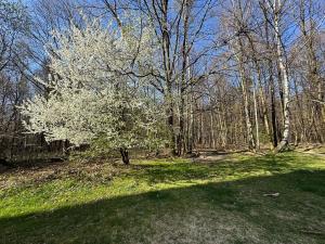 Prodej bytu 4+1, Havířov, U Tesly, 78 m2