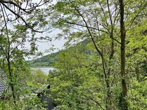 Prodej pozemku pro bydlení, Husinec, Husinecká, 1277 m2