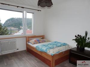 Pronájem bytu 1+1, Děčín - Děčín I-Děčín, Labská, 36 m2