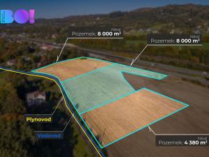 Prodej komerčního pozemku, Návsí, 8000 m2
